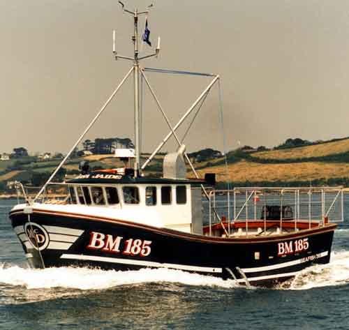 Model of a Cygnus 33 Boat as used for beam trawling, and crab and lobster  fishing length 65cm.